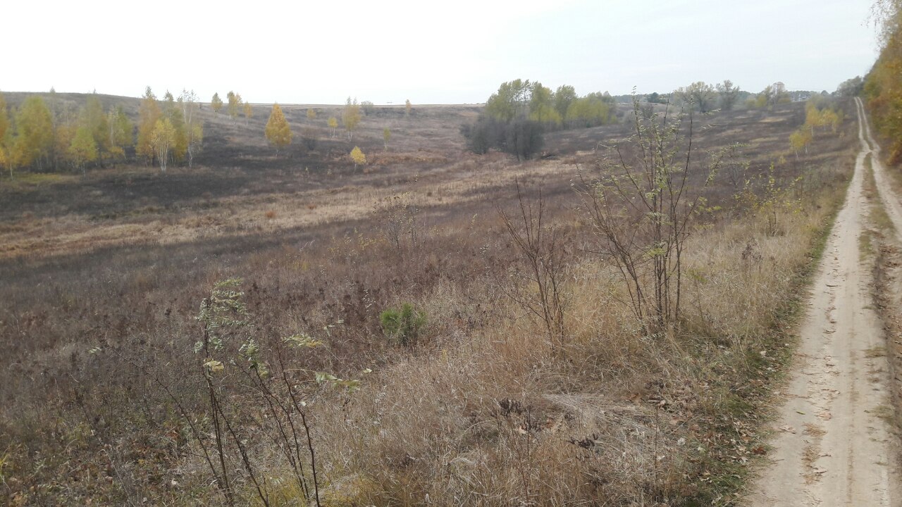 Земельна ділянка для індивідуального  садівництва площею 0,12га за адресою: Київська обл., Обухівський р-н, с/рада Підгірцівська, садівницьке  товариство "Захист", кадастровий номер 3223186800:07:020:0168.Телефонний апарат  (ін.ном. 410242378)