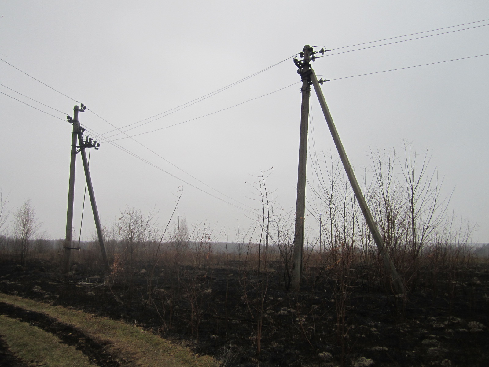 Земельна ділянка пл.6,0 га, кад.№3222755100:06:013:0001, Київська обл., Макарівський р-н, Макарівська с/р. ОЗ у кіл. 2 од. Зем. діл. пл. 9,765 га, кад. №3222755101:01:081:0002, Київська обл., Макарівський р-н, Макарівська с/р.  ОЗ у кільк. 9 од.