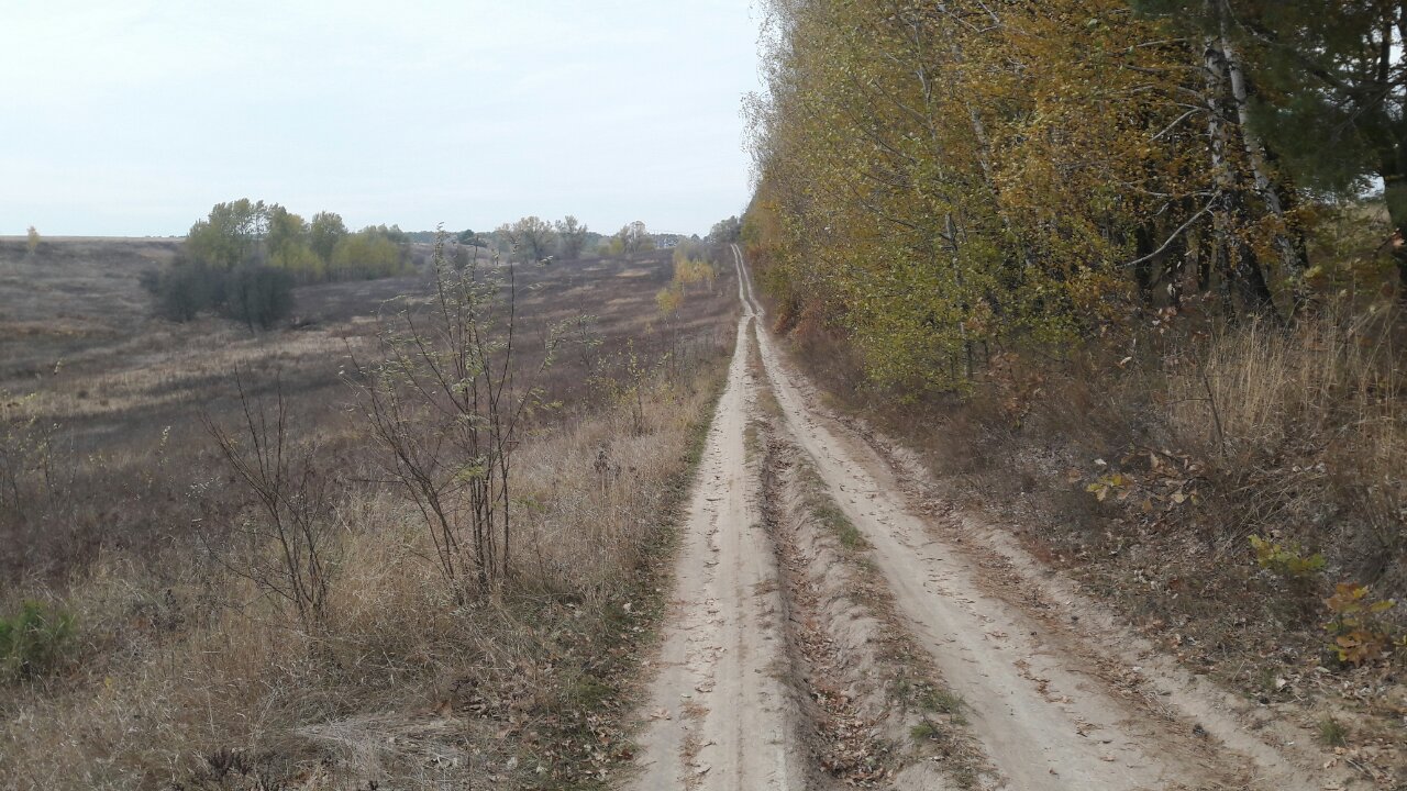 Земельна ділянка 3223186800:07:020:0167   для індивідуального садівництва площею 0,12 га за адресою:   Київська обл., Обухівський р-н, с/рада Підгірцівська, садівницьке  товариство "Захист"