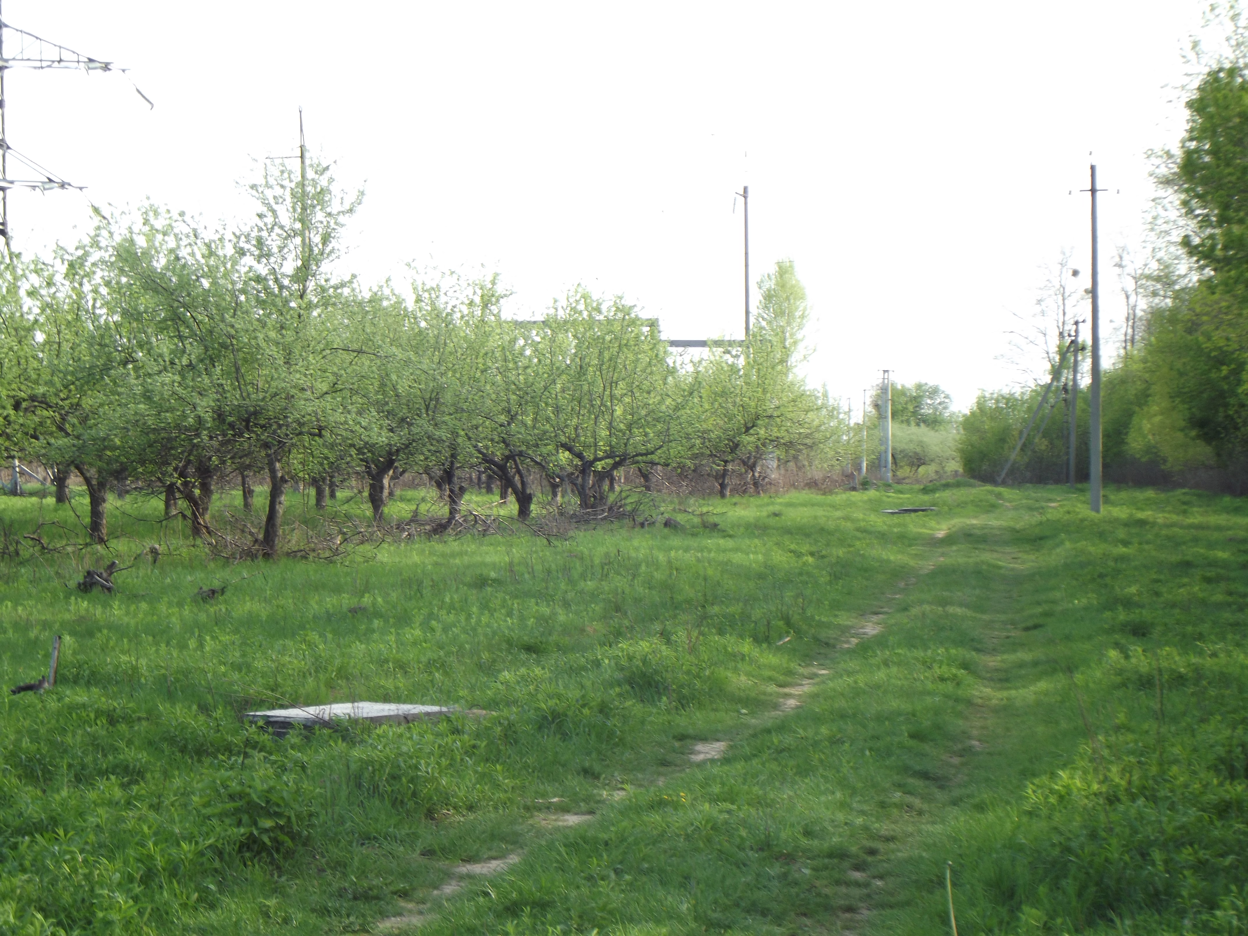 Зем.ділянка, пл.0,06 га, за адресою: Одеська обл.,Овідіопольський р.,с/рада Новодолинська, садівничий кооператив "Весна", вул.Затишна,буд.121, кад. 5123783200:01:003:1020 та Основні засоби в кількості 10 одиниць