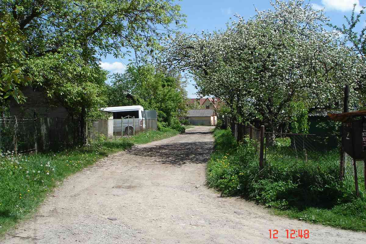 Житловий будинок, реєстраційний №387862346106, заг.площею 119,7 кв.м. за  адресою: Львівська обл., м. Дрогобич, вул. Вагилевича Івана (вул.Костюшка), будинок 31 