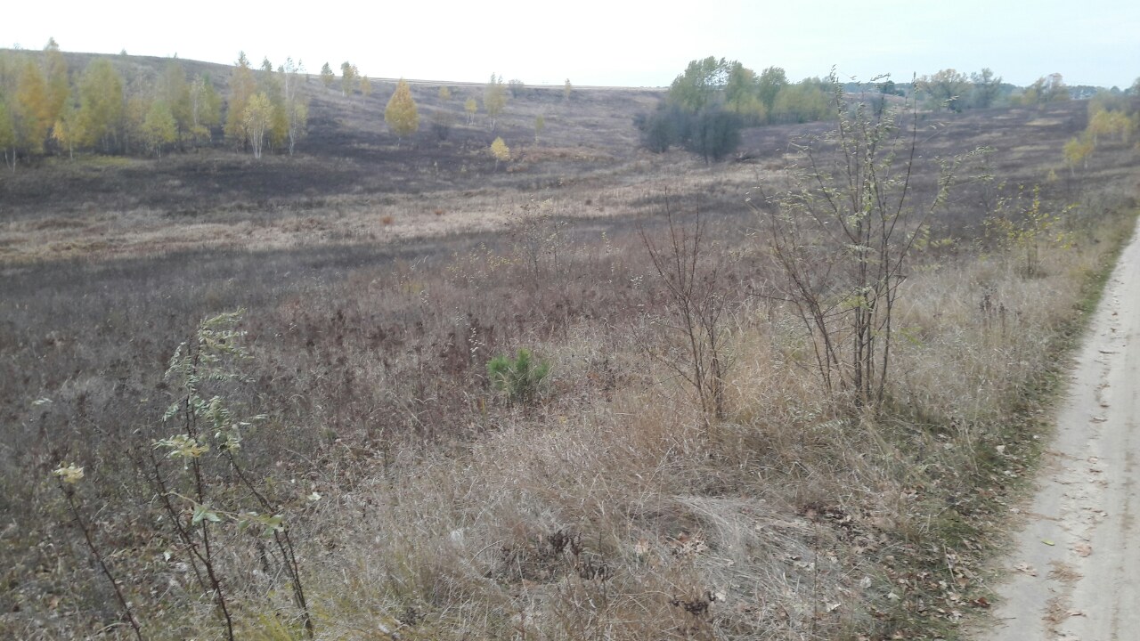 Земельна ділянка 3221482801:01:010:0030 для будівництва і обслуговування житлового будинку, господарських будівель і споруд (присадибна ділянка) площею 0,1855 га за адресою: Київська обл., Васильківський р., с.Застугна, вул.Л. Українки.